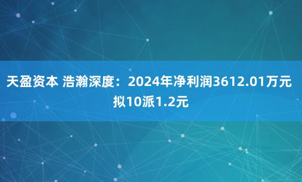 天盈资本 浩瀚深度：2024年净利润3612.01万元 拟10派1.2元