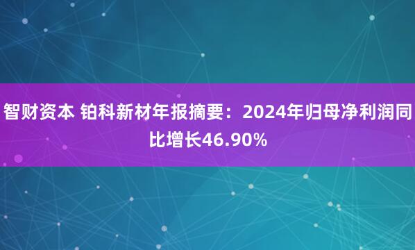 智财资本 铂科新材年报摘要：2024年归母净利润同比增长46.90%