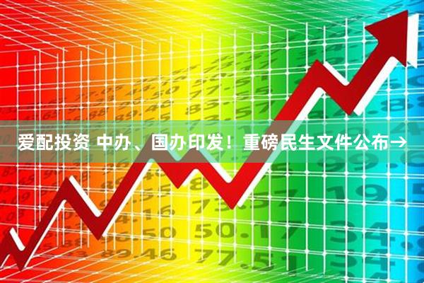 爱配投资 中办、国办印发！重磅民生文件公布→