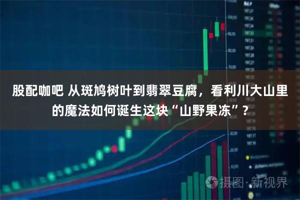 股配咖吧 从斑鸠树叶到翡翠豆腐，看利川大山里的魔法如何诞生这块“山野果冻”？