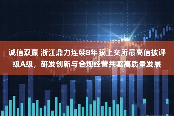 诚信双赢 浙江鼎力连续8年获上交所最高信披评级A级，研发创新与合规经营共驱高质量发展