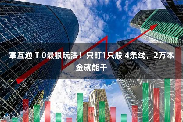 掌互通 T 0最狠玩法！只盯1只股 4条线，2万本金就能干
